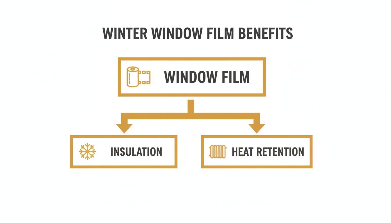 Diagram illustrates winter window film benefits: providing insulation and enhancing heat retention in homes.