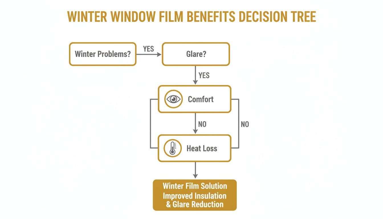 A decision tree illustrating winter window film benefits, addressing glare, comfort, and heat loss for improved insulation.