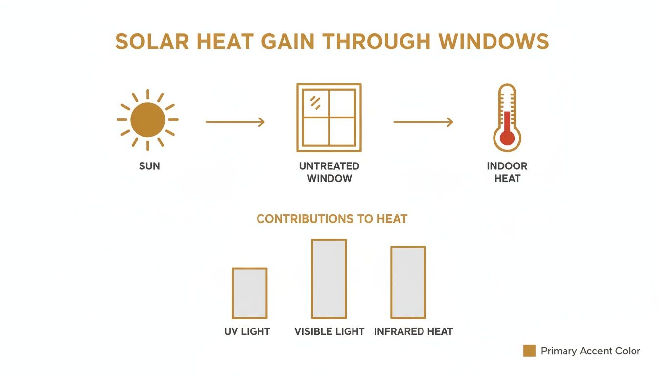 Diagram illustrating solar heat gain through untreated windows, showing contributions from UV, visible, and infrared light.