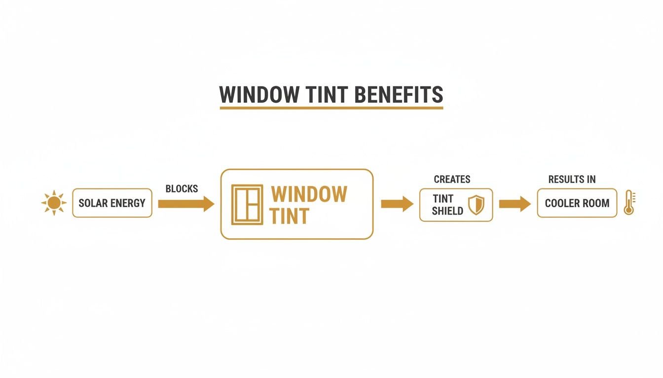 Flowchart illustrating how window tint blocks solar energy, creating a shield for a cooler room.