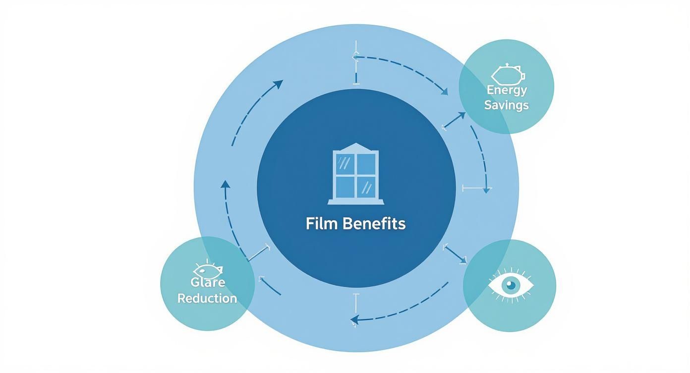 Infographic about uv blocking window film