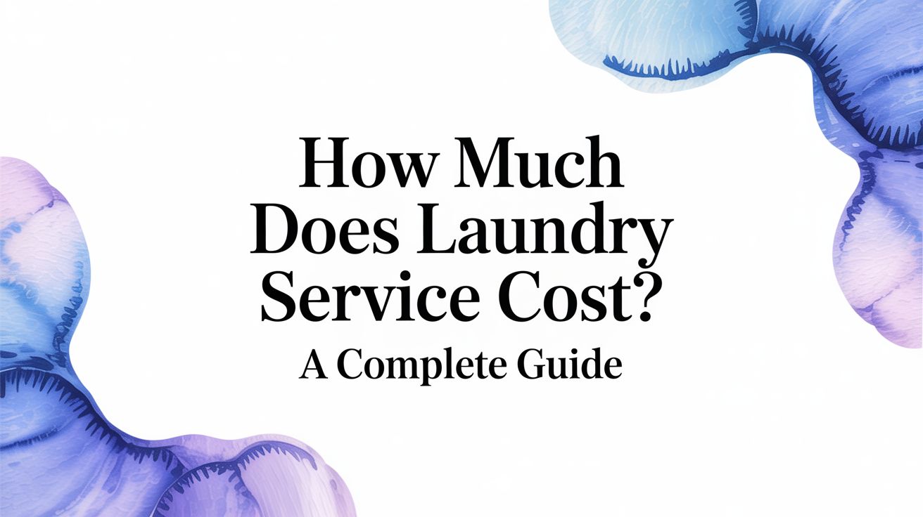How Much Does Laundry Service Cost in Phoenix? A Complete Guide