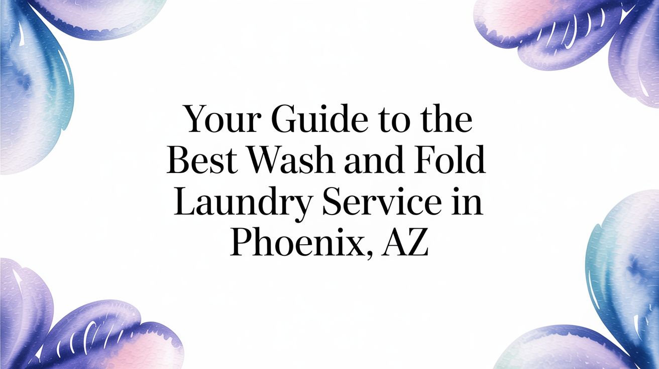 Your Guide to the Best Wash and Fold Laundry Service in Phoenix, AZ