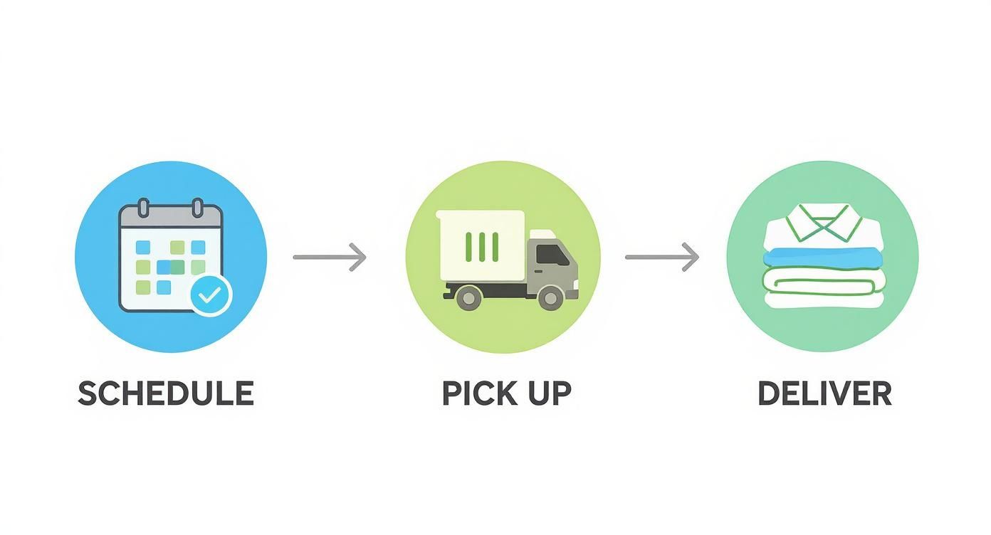 Infographic about laundry pick up &amp; delivery