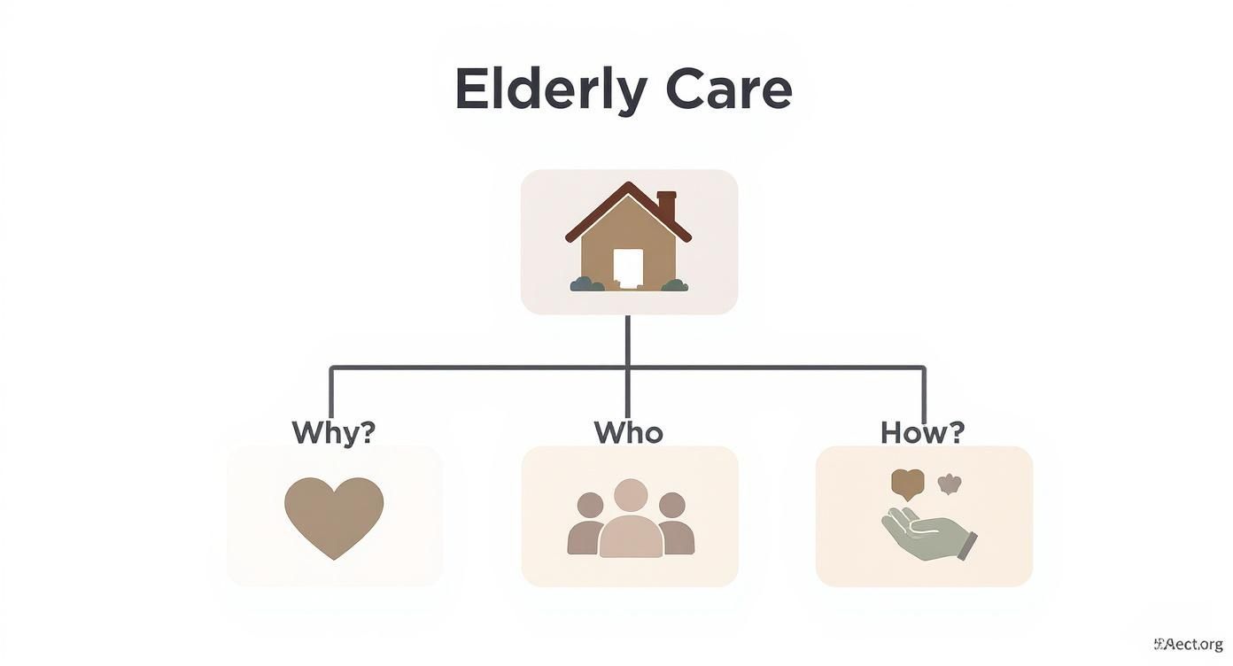 Infographic about home services for elderly