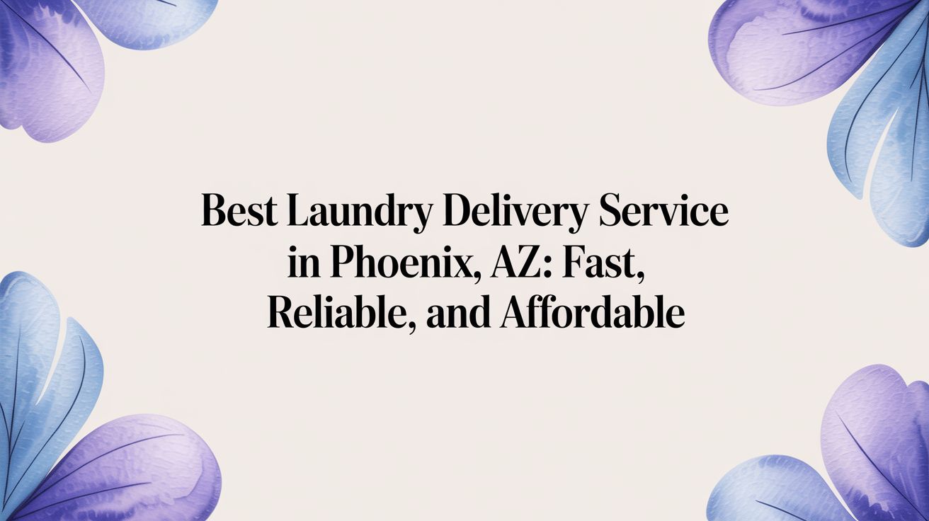 Best Laundry Delivery Service in Phoenix, AZ: Fast, Reliable, and Affordable