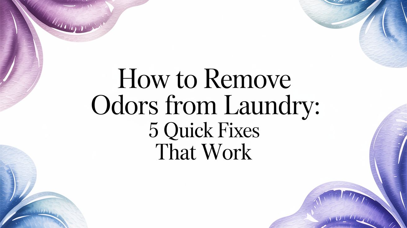 How to Remove Odors from Laundry: A Phoenix Guide to Fresh Clothes