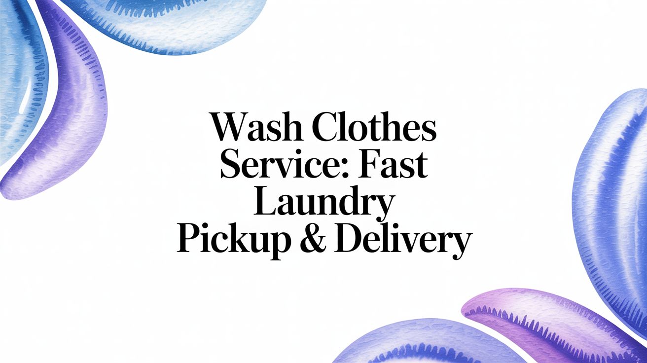 Professional Wash Clothes Service in Phoenix, AZ