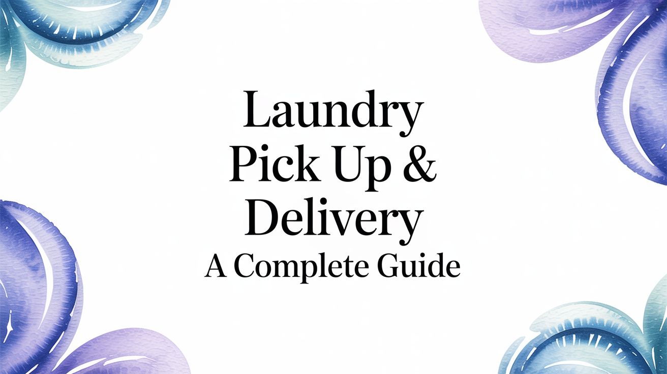 A Complete Guide to Laundry Pick Up & Delivery in Phoenix, AZ