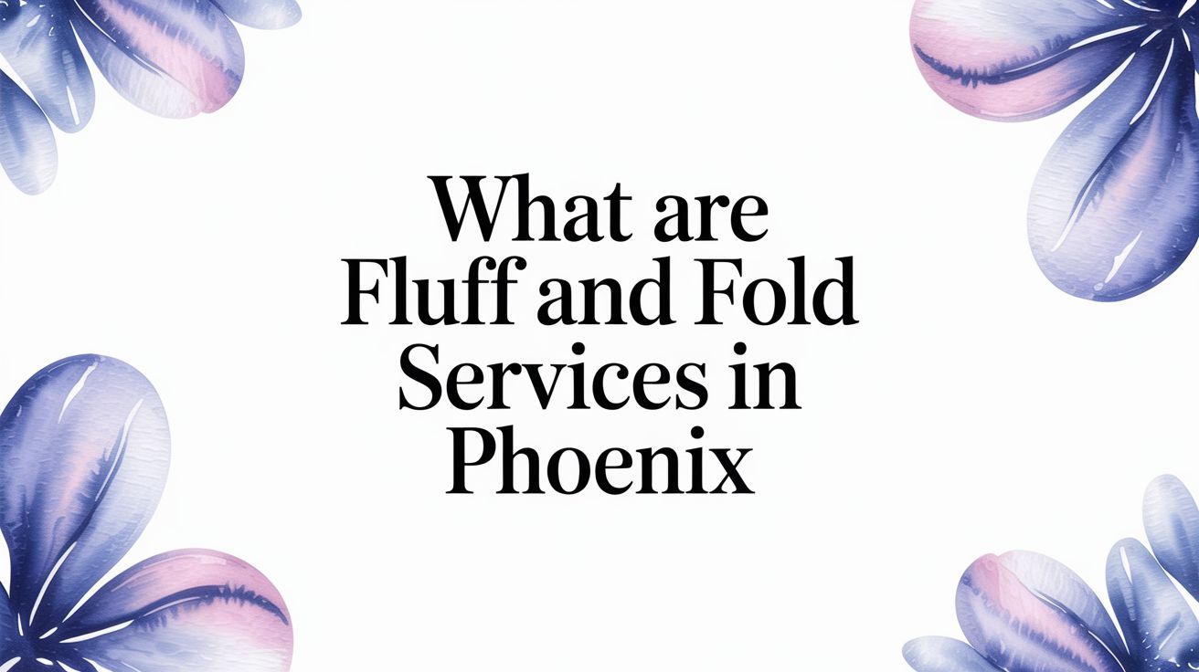 Fluff and Fold Laundry Service in Phoenix, AZ