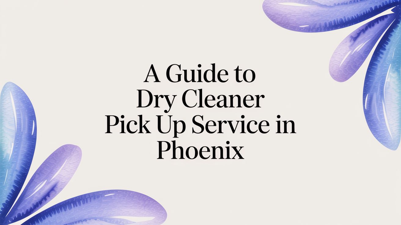 Your Guide to Dry Cleaner Pick Up and Delivery Service in Phoenix