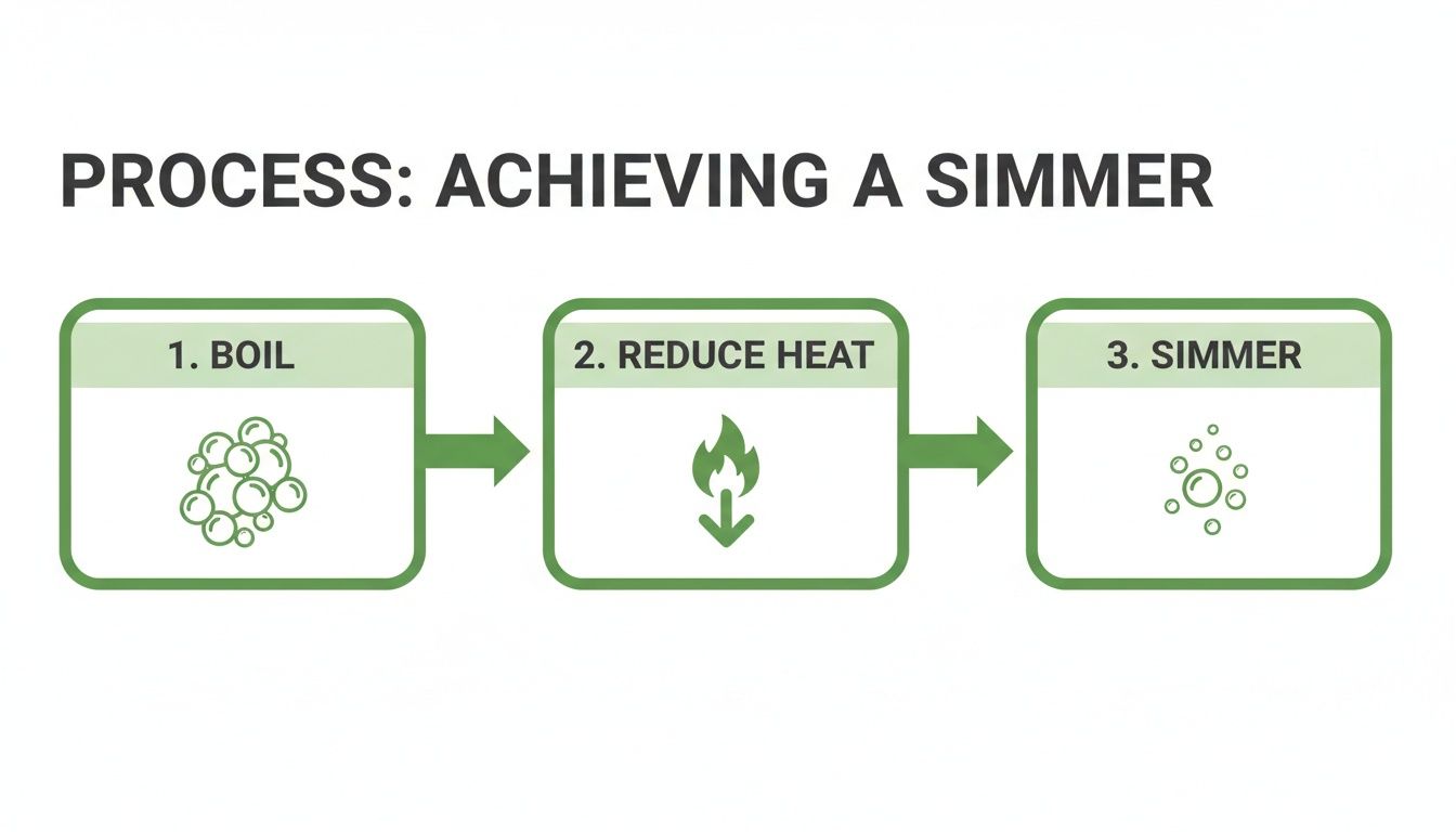 Infographic illustrating the three-step process to achieve a simmer: boil, reduce heat, then simmer.