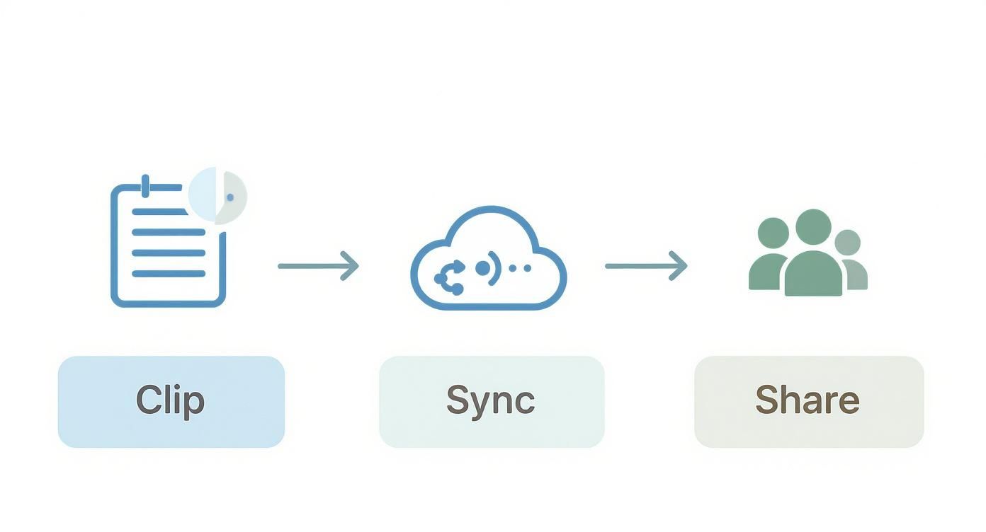 Workflow diagram showing three steps: Clip content, Sync to cloud, and Share with others.