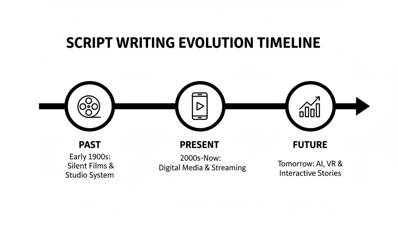script writing for beginners timeline