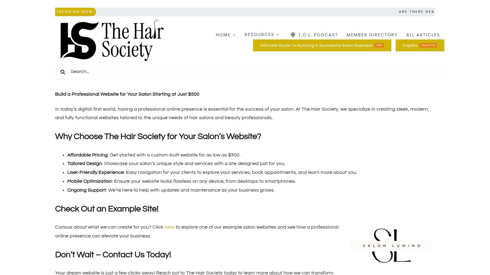 The Hair Society custom website design example