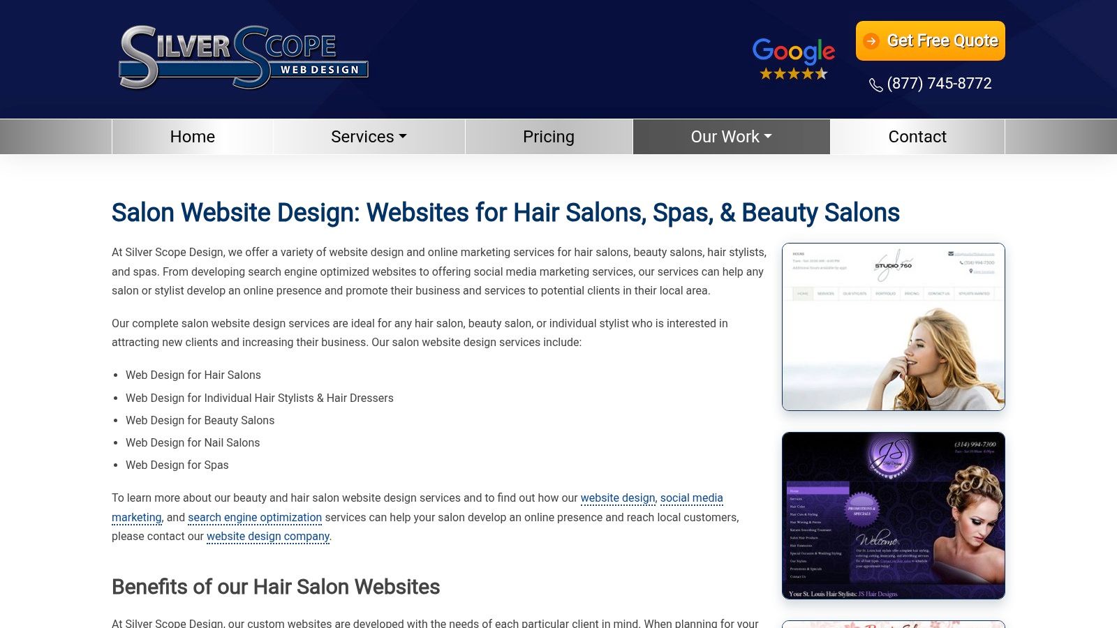 Silver Scope Design salon website example