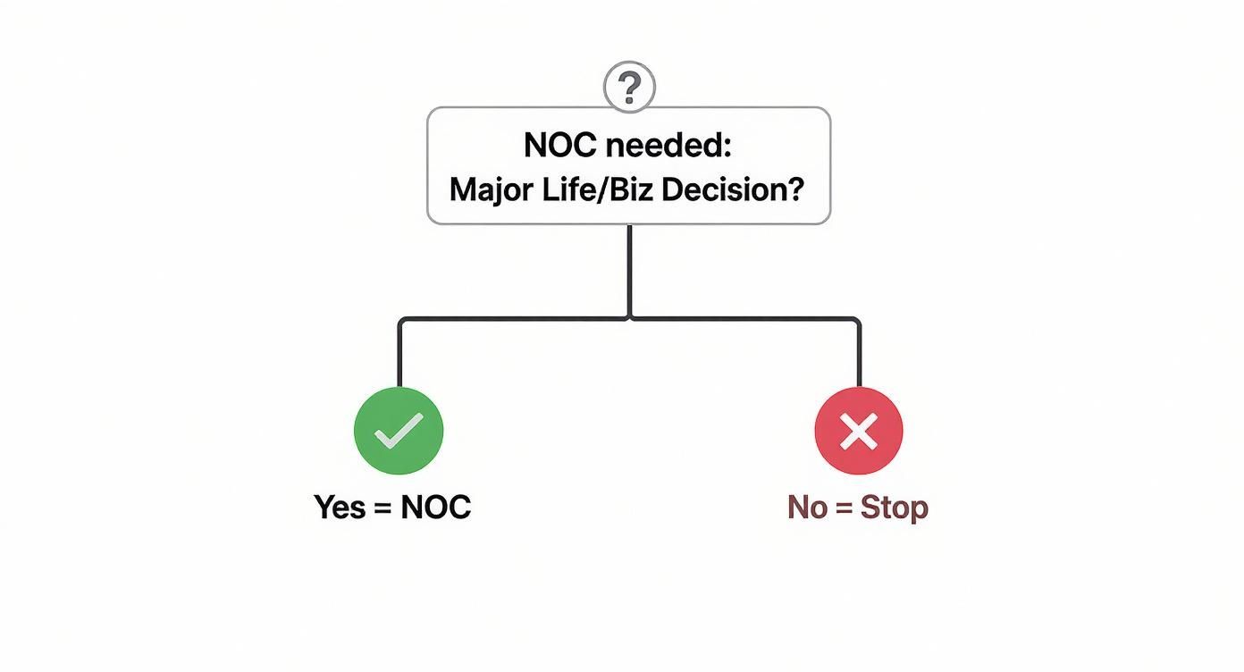 Infographic decision tree showing when a no objection certificate (NOC) is needed for a major life or business decision in the UAE.