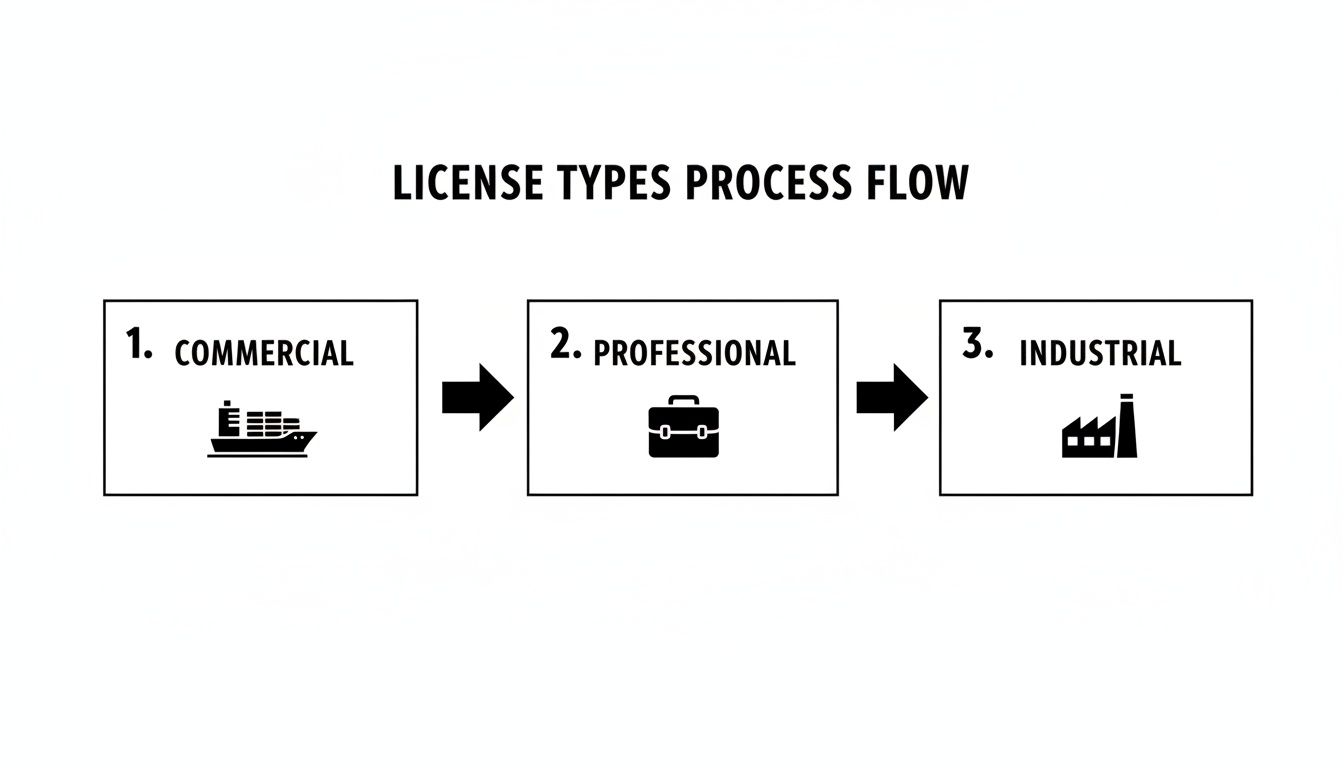 A process flow diagram illustrating three license types: Commercial, Professional, and Industrial, with icons.
