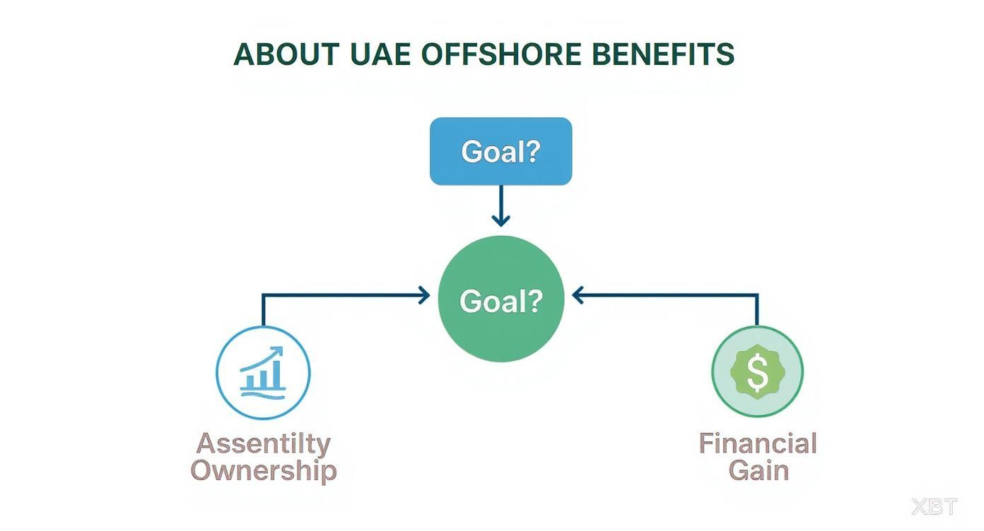 Infographic about offshore companies in uae
