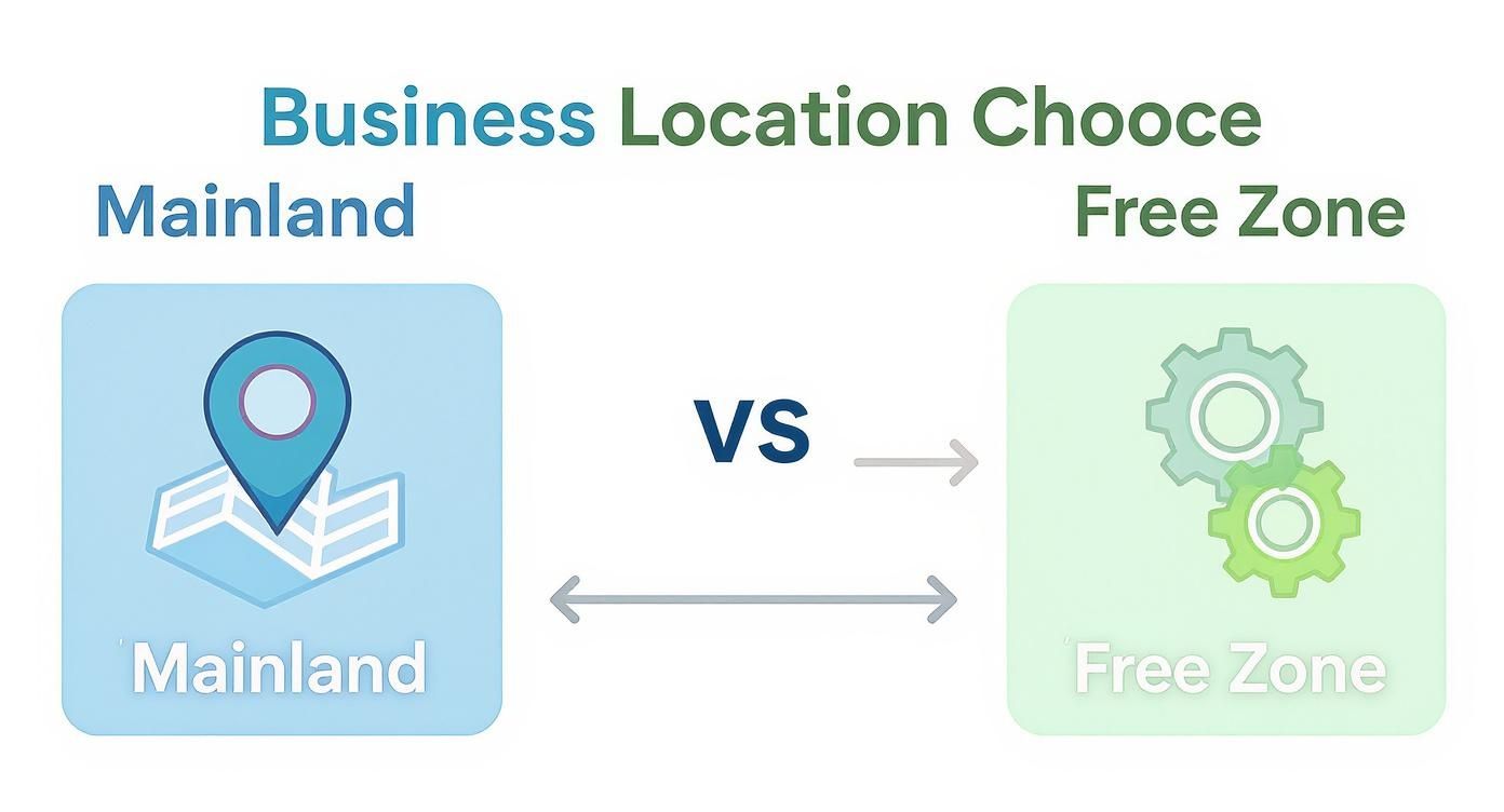 Comparison diagram showing mainland versus free zone business location options in UAE