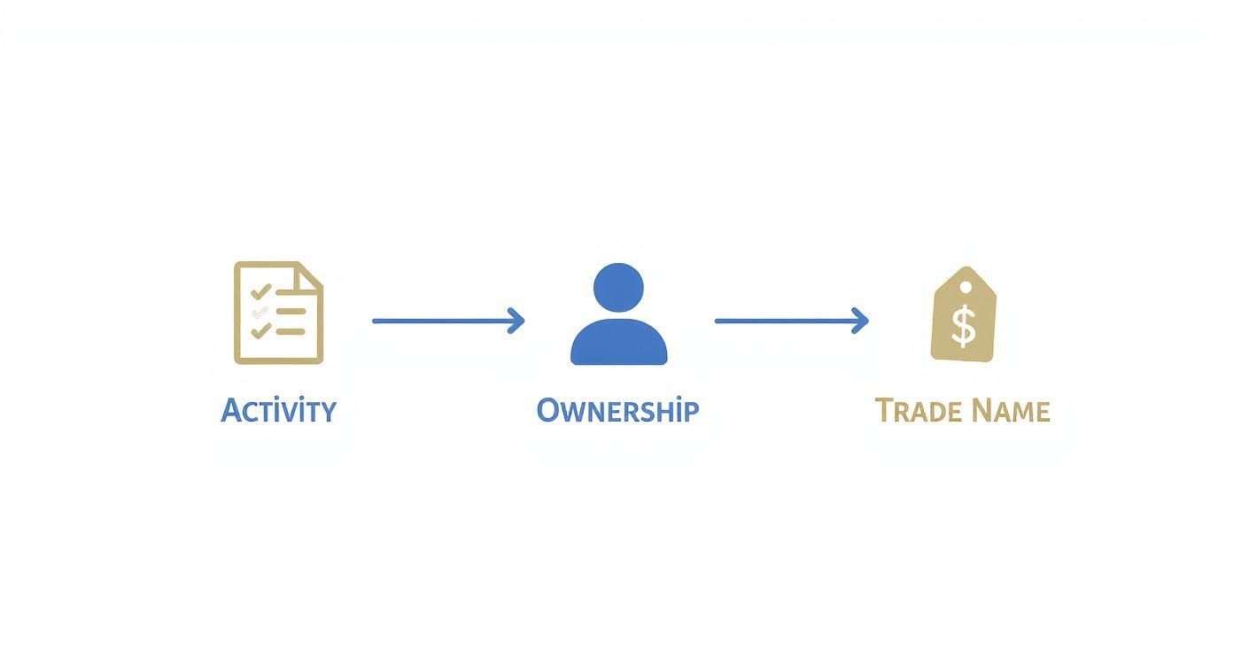 A flowchart showing 'Activity' represented by a document, leading to 'Ownership' as a person icon, then to 'Trade Name' with a price tag icon.