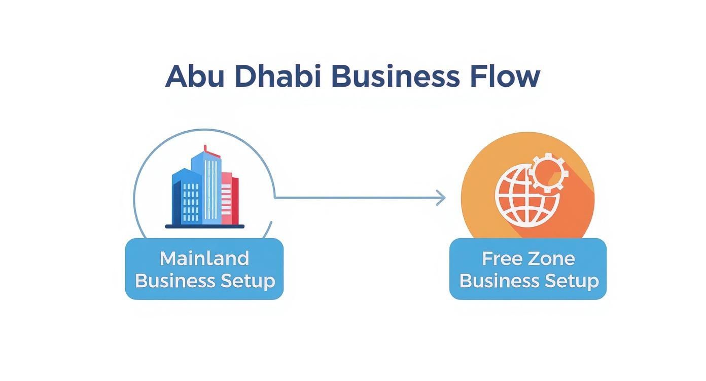 Infographic about business setup in abu dhabi