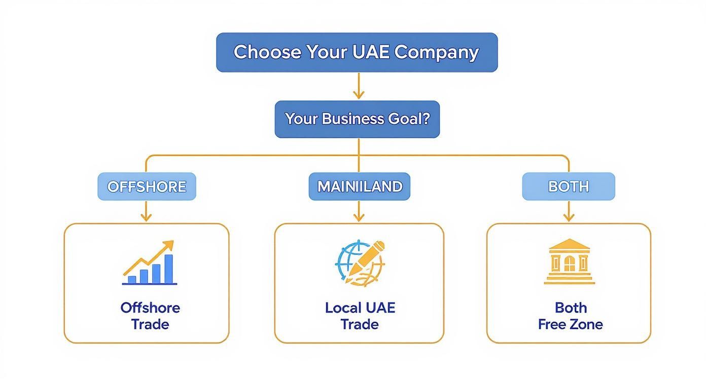 Flowchart illustrating choices for setting up a UAE company based on business goals.