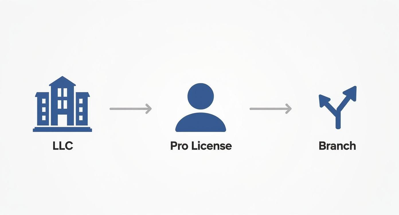 Infographic about company formation in dubai mainland