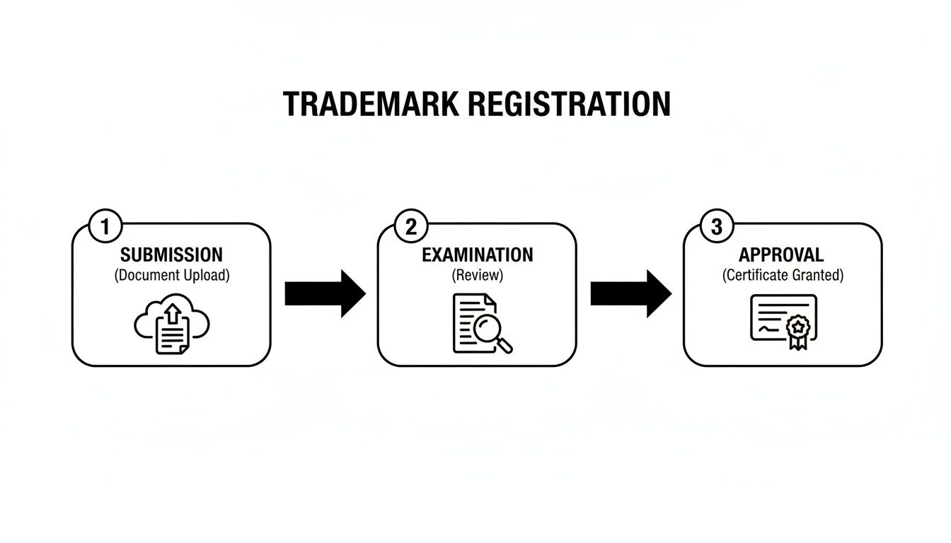 A diagram illustrating the 3-step trademark registration process: submission, examination, and approval.