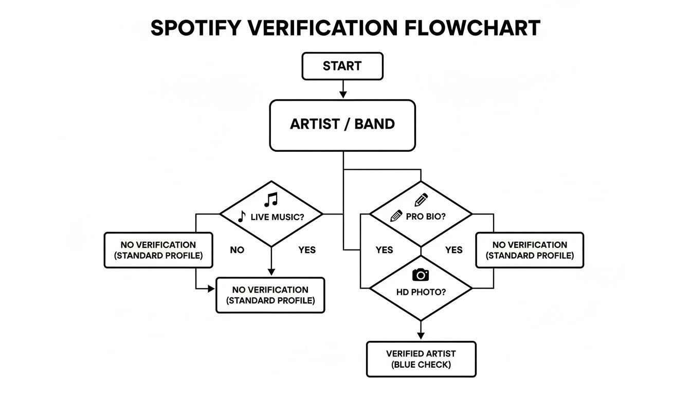 A Spotify verification flowchart for artists, detailing steps like having a pro bio and HD photo for a blue check.