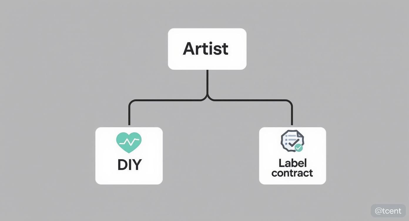 Infographic about starting record label