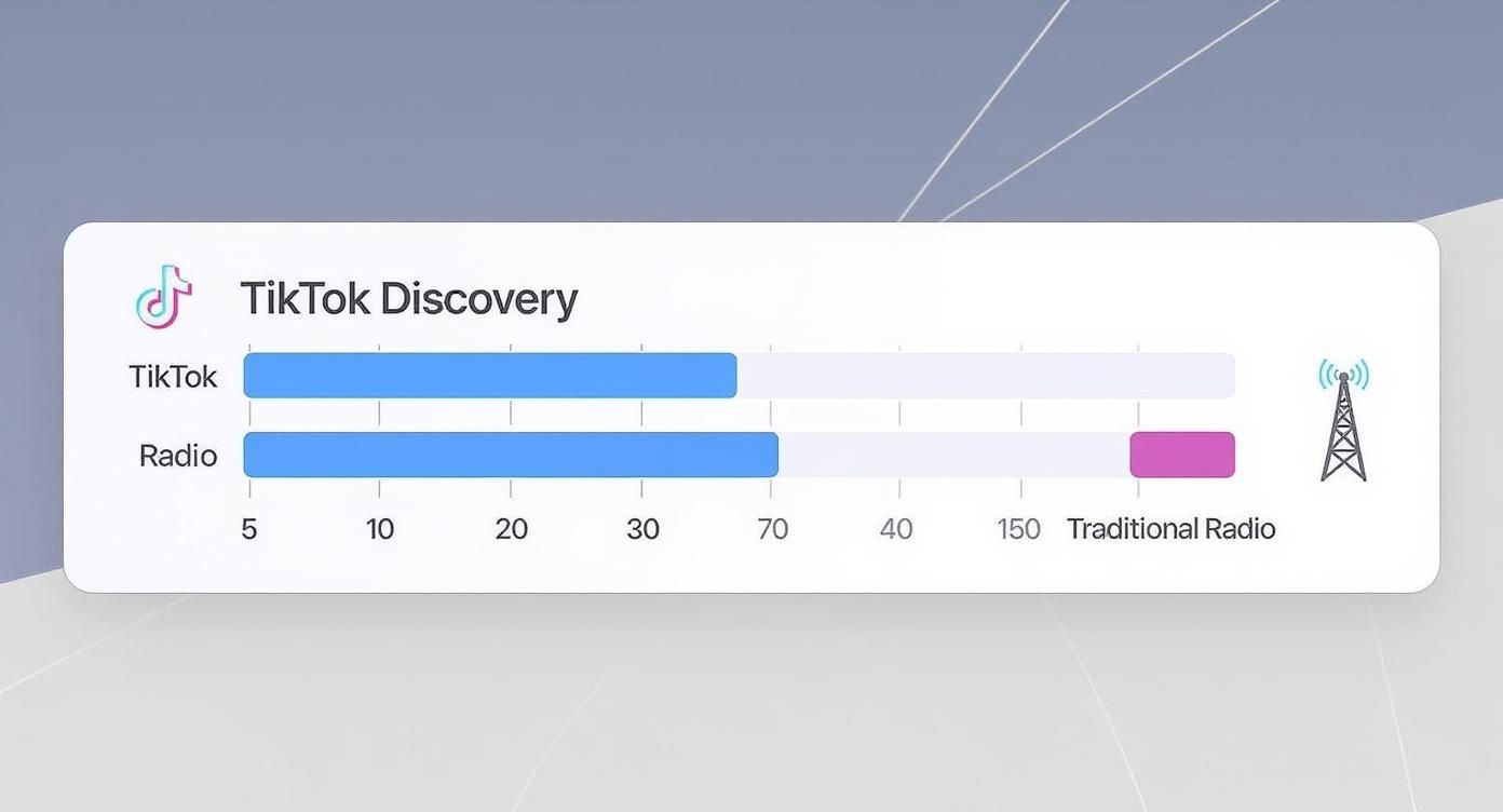 Infographic about how to promote music on tiktok
