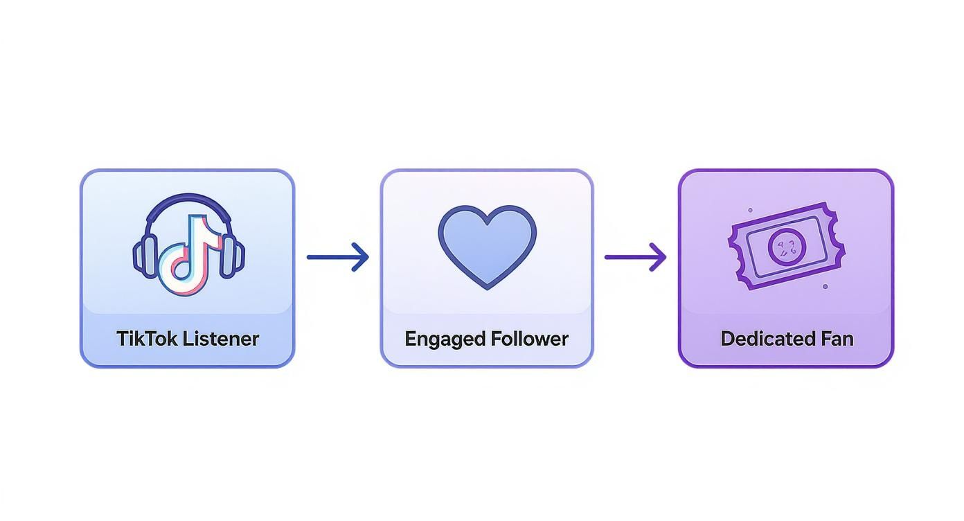 Flowchart showing the progression from a TikTok Listener to an Engaged Follower to a Dedicated Fan, depicting a music marketing journey.