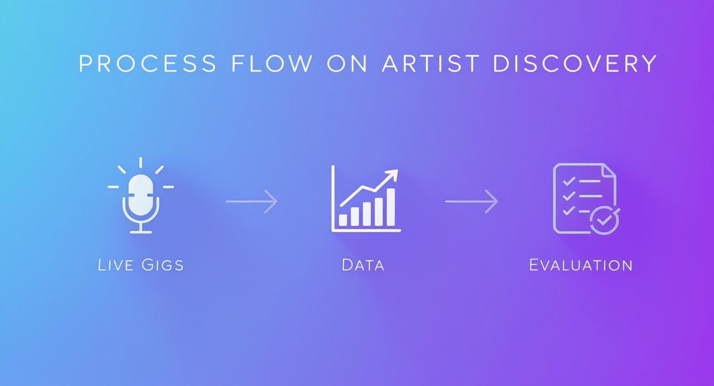 Process flow for artist discovery, illustrating live gigs, data analysis, and evaluation steps.