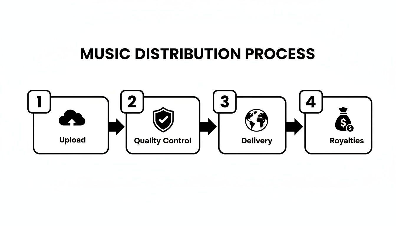 A clear flowchart illustrating the four steps of the music distribution process: Upload, Quality Control, Delivery, and Royalties.