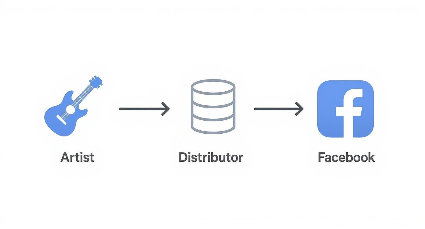 Diagram showing the music distribution process: Artist icon to Distributor icon to Facebook logo.