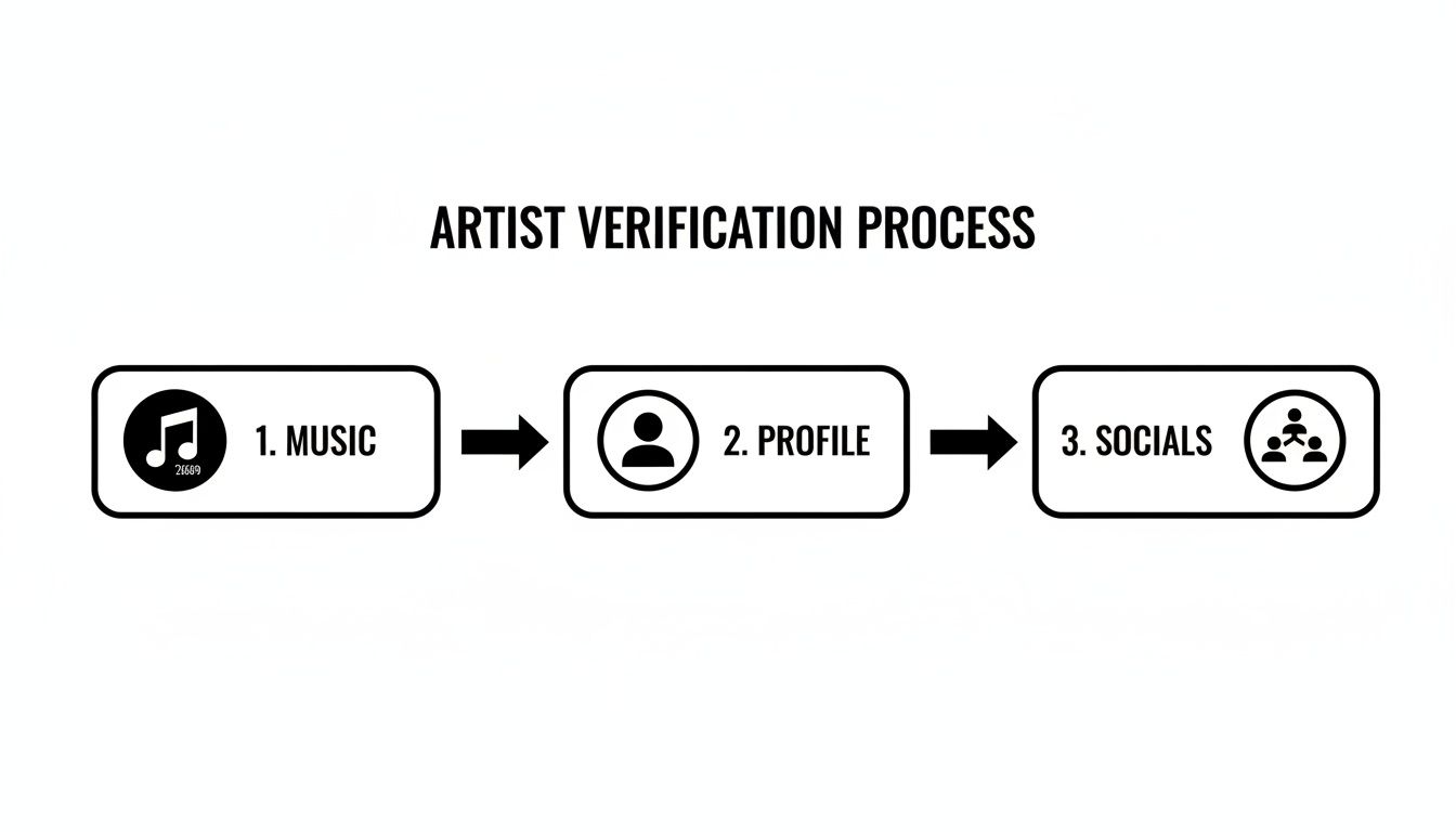 A flowchart illustrates the artist verification process, covering music, profile, and social media steps.