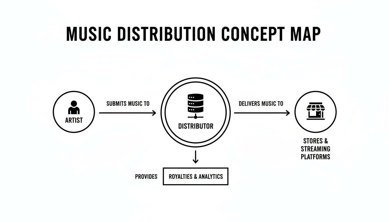 A concept map illustrating the music distribution process from an artist to streaming platforms.