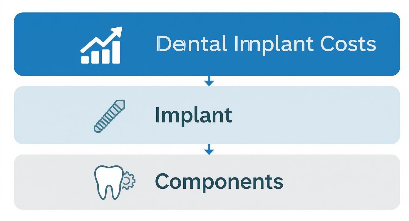 Flowchart illustrating the breakdown of dental implant costs into implant and its components.