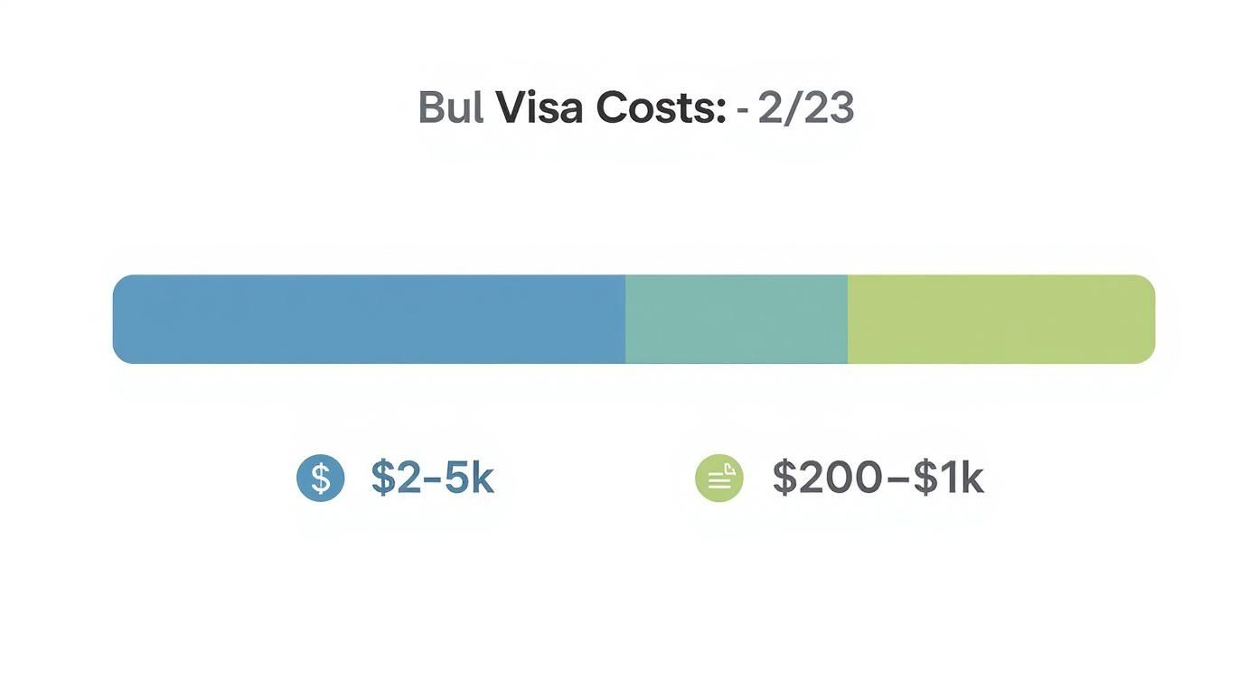 Infographic about digital nomad visa requirements