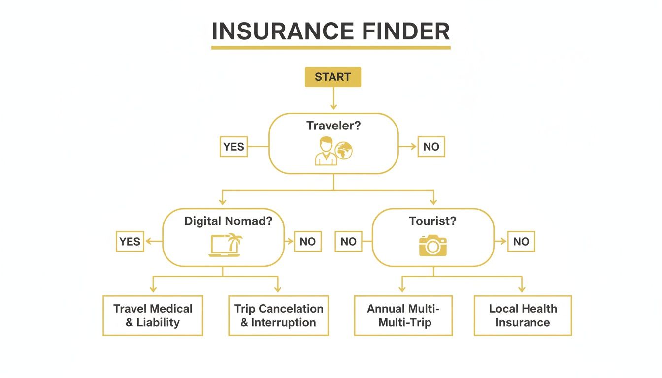 A flowchart titled 'Insurance Finder' helps determine insurance types based on traveler status.