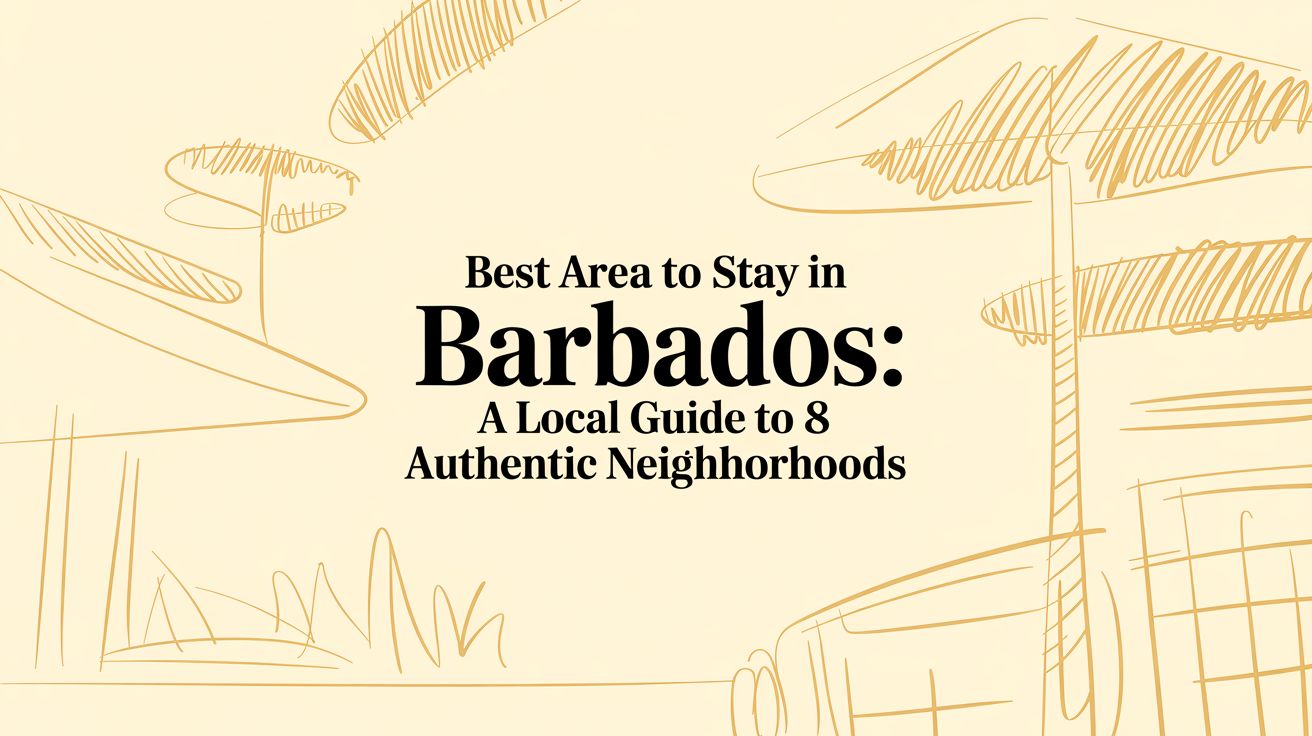 Best Area to Stay in Barbados: A Local Guide to 8 Authentic Neighborhoods