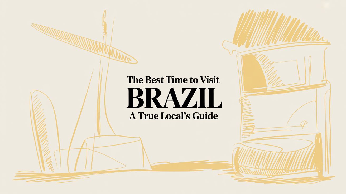 The Best Time to Visit Brazil: An Immersive Local's Guide