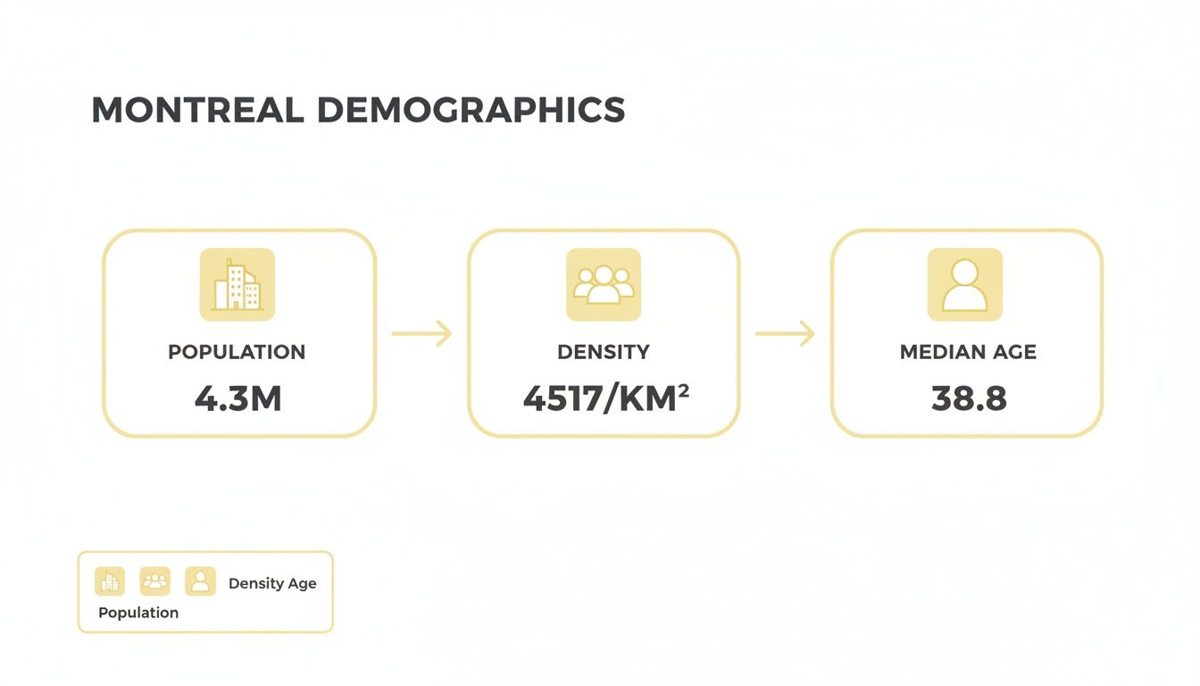 Infographic about living in montreal