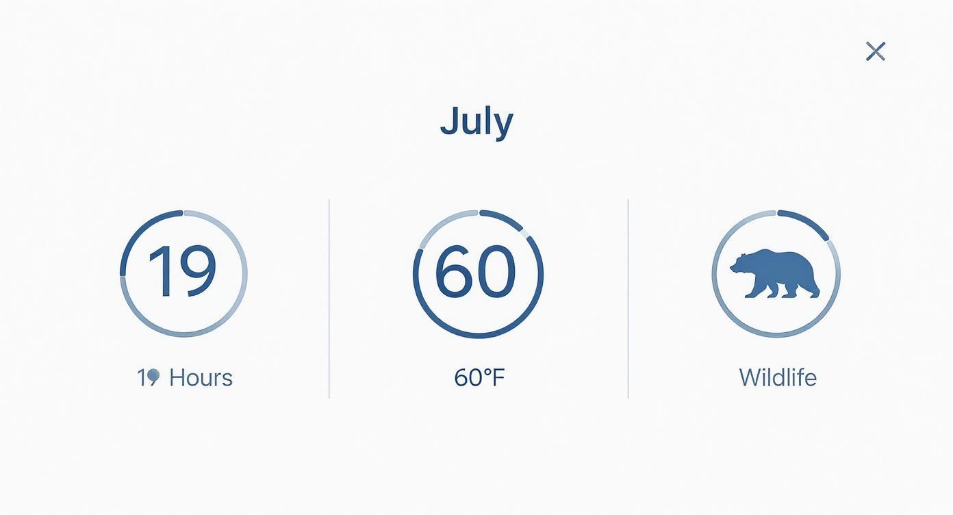 Infographic about alaska in july