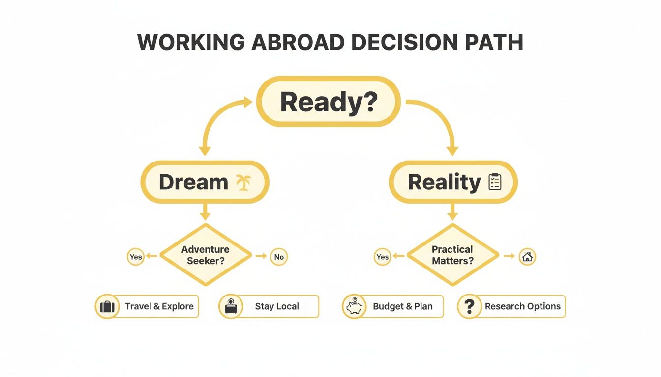 A flowchart illustrates the working abroad decision path, branching from 'Ready?' into 'Dream' and 'Reality' with subsequent choices.