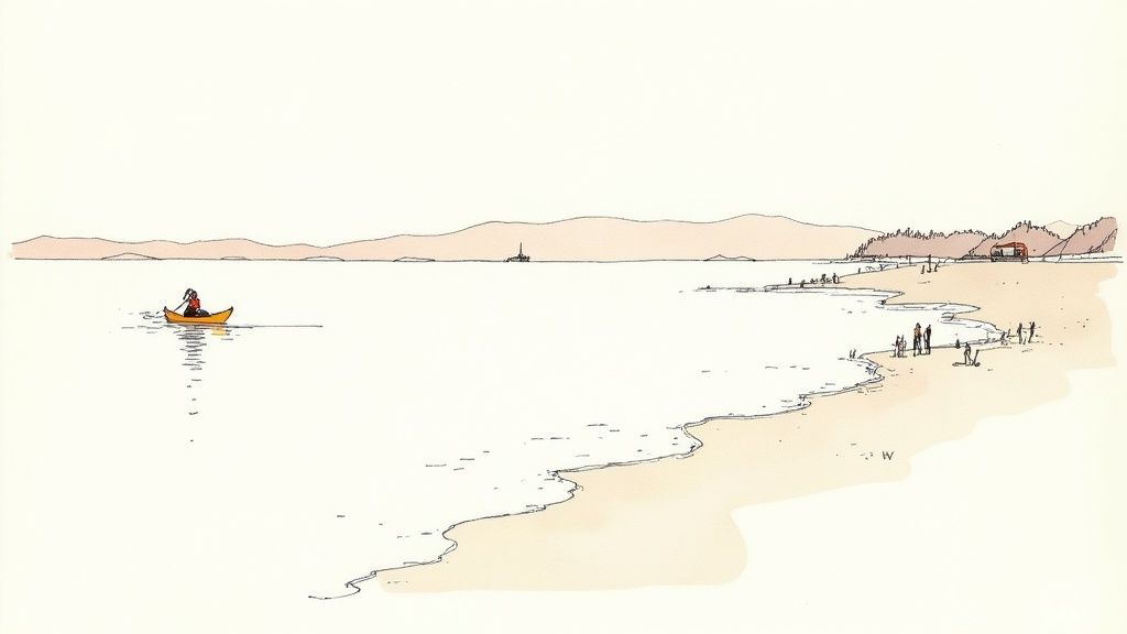 A person sitting on a rock in Acadia National Park during autumn