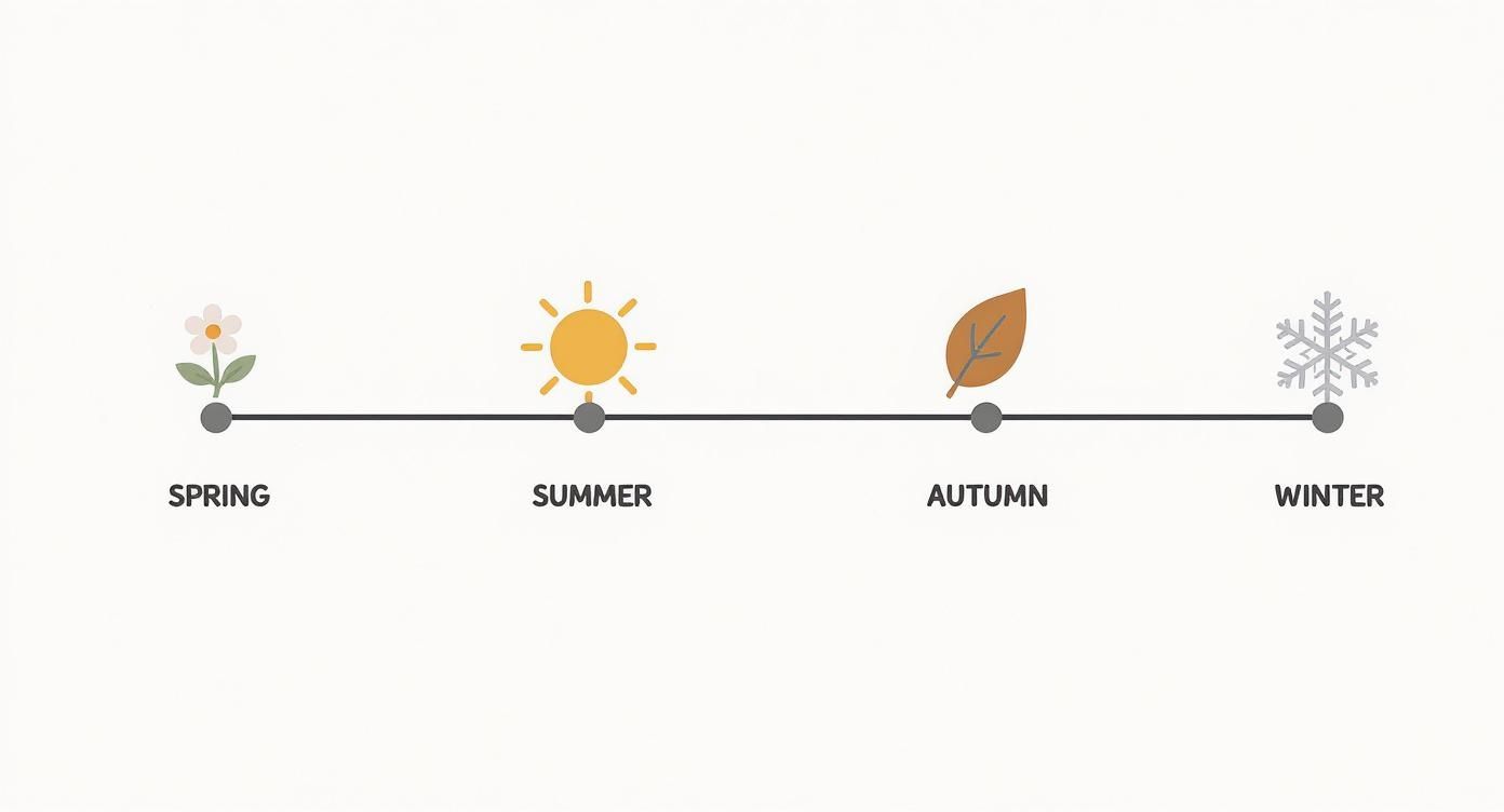 Infographic about best time to go to paris