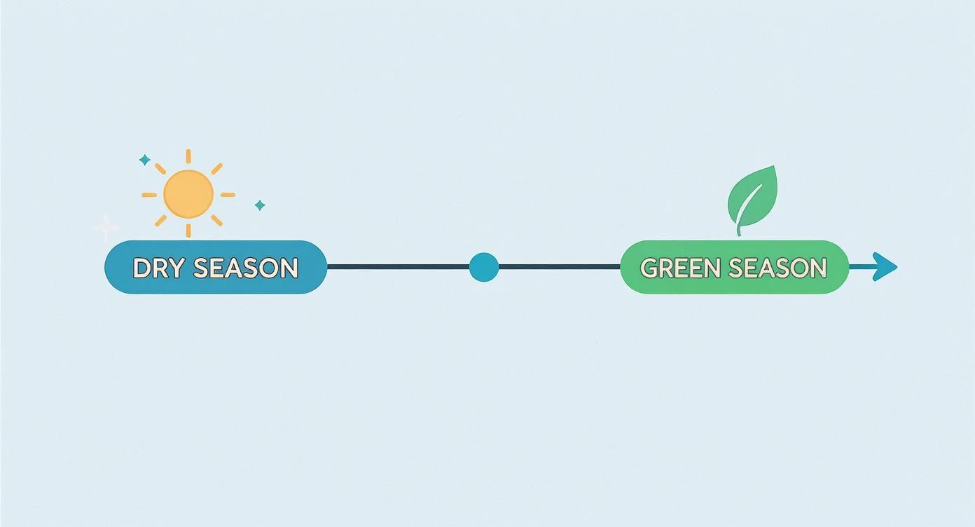 Infographic about best time to visit fiji