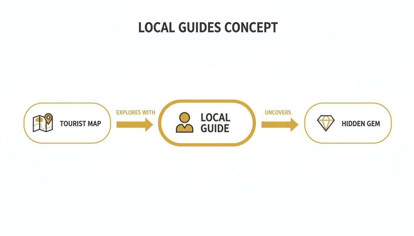 A flowchart illustrating the Local Guides concept, showing how a Tourist Map explores with a Local Guide to uncover a Hidden Gem.